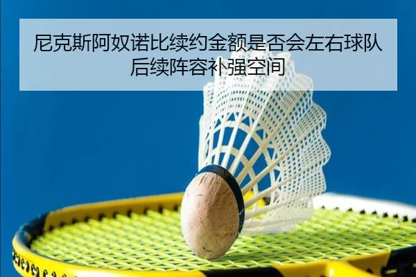 尼克斯阿奴诺比续约金额是否会左右球队后续阵容补强空间